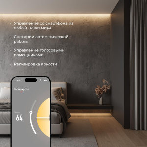 Wi-Fi контроллер для светодиодных лент Elektrostandard dimming 12-24V 4690389172847 a055256
