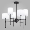 Люстра на штанге Eurosvet Notturno 60162/6 черный Smart a065662
