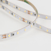 Светодиодная лента Elektrostandard 24V 8W 120Led 2116 IP20 холодный белый 5м 4690389176685