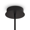 Подвесная люстра Freya Brilliance FR5557PL-L22B