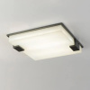 Потолочный светильник Delight Collection 8212C/500 black/white
