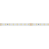 Светодиодная лента Arlight RT-A80-8mm 24V Day5000 (6 W/m, IP20, 2835, 5m) 024511(2)