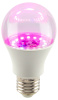 Светодиодная фитолампа для растений Эра ФИТО A60-15W-PL-E27-GR Б0064548