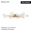 Потолочная люстра Freya Celebrity FR5242CL-16BS1
