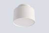 Потолочный светильник Crystal Lux CLT 085C WH