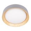 Потолочный светильник Loft IT Coin 10202 Grey