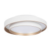Потолочный светильник Freya Layer FR6085CL-L72WG