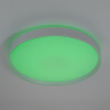 Потолочный светильник Citilux Boss CL751450G