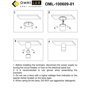 Потолочный светильник Omnilux Lucido OML-100609-01
