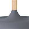 Подвесной светильник Arte Lamp Kayla A7102SP-1GY