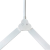 Настольная лампа Arte Lamp Tilt A5127LT-1WH