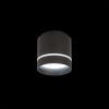 Накладной светильник Citilux Борн CL745021N