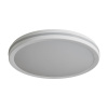Потолочный светильник Freya Rua FR6160CL-L40W