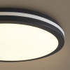 Потолочный светильник Freya Rua FR6160CL-L40B