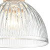 Подвесной светильник Lumion Suspentioni Natana 8055/1A