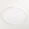 Накладной светильник Citilux CL738320V