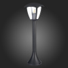 Уличный светильник ST Luce Sivino SL081.405.01