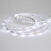 Светодиодная лента Arlight RT-A30-8mm 24V White6000 (2.9 W/m, IP20, 2835, 5m) 019917(2)