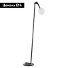 Торшер Lumion Dexter 6500/1F