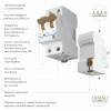 Дифференциальный автомат 1P+N 25 A 30 mА 6 kА C А Werkel W922P256 4690389193248 a062570