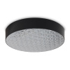 Потолочный светильник Freya Crispia FR6218CL-L90B