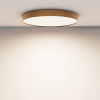 Потолочный светильник Maytoni Technical Ceiling Zon C032CL-90W4K-RD-MG