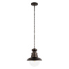 Уличный подвесной светильник Loft IT Piemonte 100022P