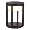 Ландшафтный светильник ST Luce Pokko SL9536.405.32