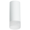 Накладной светильник Lightstar Rullo R648681 (216486+202481)