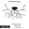 Потолочная люстра Freya Florencia FR5049CL-27B