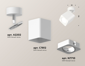 Спот Ambrella Light Techno Spot XM7812010 (A2202, C7812, N7710)