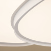 Потолочный светильник Freya Modesty FR6079CL-L72W