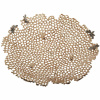 Блюдо Соты Garda Decor 69-219013