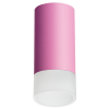 Накладной светильник Lightstar Rullo R43231 (214432+202431)