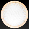 Настенно-потолочный светодиодный светильник Toplight Calista TL9490Y-00PN