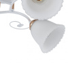 Потолочная люстра Arte Milano Amalfi 325395/3A WH+FG