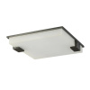 Потолочный светильник Delight Collection 8212C/500 black/white
