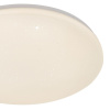 Потолочный светильник Escada 10213/SG LED