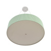 Потолочный светильник Lumion Moderni Gofera 8326/5