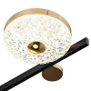 Потолочная люстра Escada Divita 10219/6LED