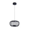 Подвесной светильник Arte Lamp Flare A3527SP-12BK