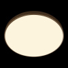 Потолочный светильник Loft IT Flims 10228/B