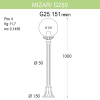 Уличный светильник Fumagalli Mizar.R/G250 G25.151.000.BYE27