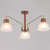 Люстра на штанге Illumico IL0286-3C-79 BR