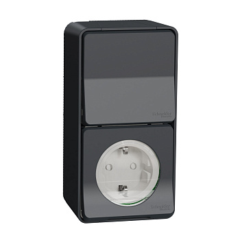 Розетка с выключателем Schneider Electric MUR36924