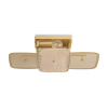 Потолочный светильник Freya Saffle FR5572CL-02G