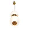 Подвесной светильник Lumion Ledio Taisha 8324/20L