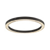 Потолочный светильник Delight Collection C0852-670A black