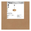 Подвесной светильник Freya Terra FR5514PL-01B1