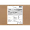 Потолочный светильник Freya Crown FR6119CL-L48W
